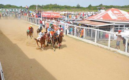 Horseracing returns to the Bush Lot United Turf Club on Sunday 16th October