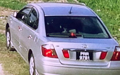Man caught on camera stealing car at Mon Repos