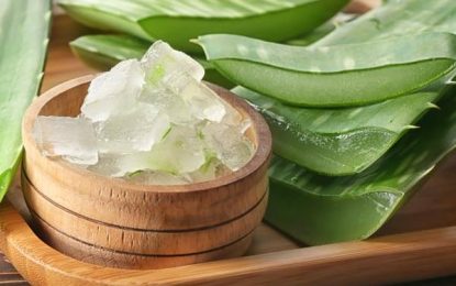 Six naturally infused beauty regimes for luxuriating hair and skin