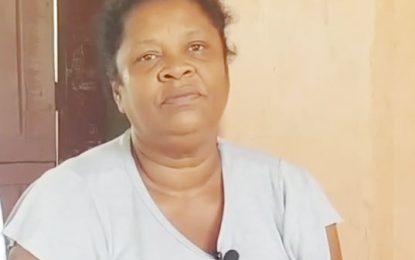 Mother of slain Henry boy dies two years later