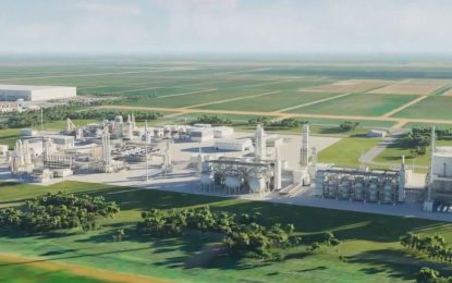 US$900M contract approved to build Wales power plant – Pres. Ali