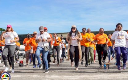 Domestic Violence Act to be amended to Family Violence Act – Min. Persaud