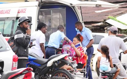 Two injured, vehicles damaged as runaway horse gallops on Saffon Street