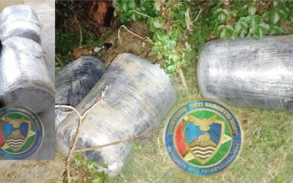 $10M in Ganja found at No. 78 Village sea dam