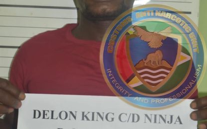 Wortmanville man busted with ‘crystal meth’ in bag