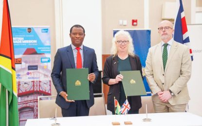 Pres. Ali uses Guyana’s oil and gas, special incentives for other industries to entice UK trade mission