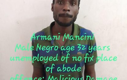 Vagrant remanded for damaging businessman’s property