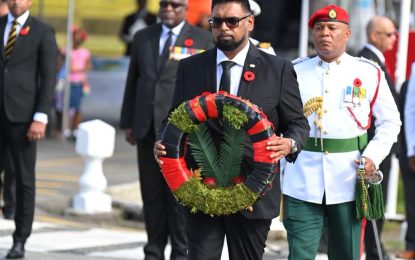Pres Ali hails sacrifice of war heroes