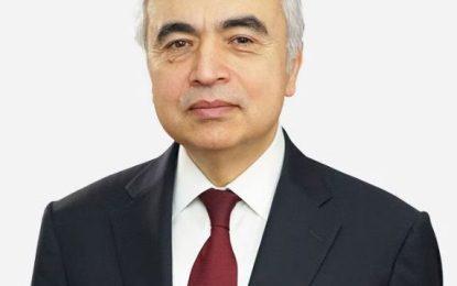 In five years solar energy will dominate electricity market – IEA Director