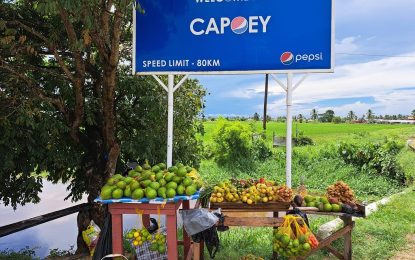 Lake Capoey is one of the Cinderella County’s major tourist attractions