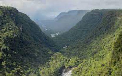 Amerindians shut out of carbon crediting process