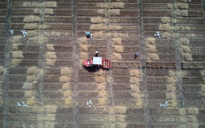 FAO warns that global food crises ‘likely to increase’ in the future without wider systemic change