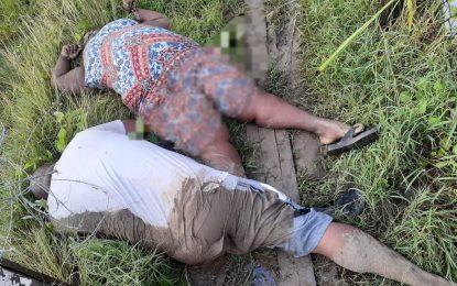 Husband and wife die after stepping on illegal live wire 