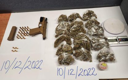 Police arrest quartet after finding gun, drugs at apartment building
