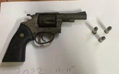 Gunman drops weapon, flees from cops