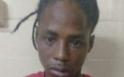 Plaisance men remanded on gun, ammo charges