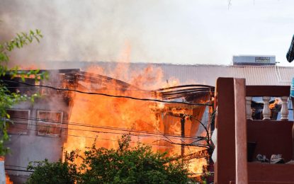 Several homeless after Riverview blaze