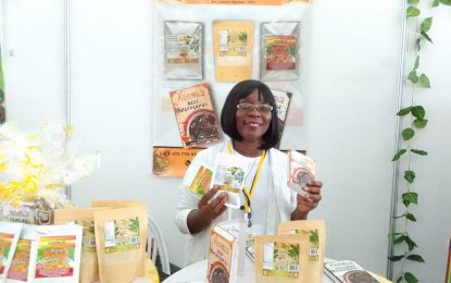 The Creators’ Coven