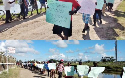 Workers reeling from high cost of living – GAWU