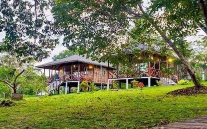 Wayne’s World: a hidden paradise in the Linden mining town