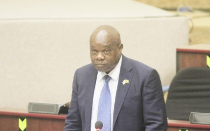 ‘Dead meat budget’ …Norton says  