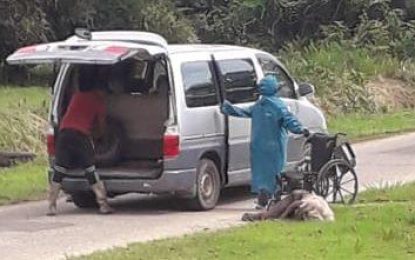 Wheelchair bound man hospitalised after bee attack at Leguan