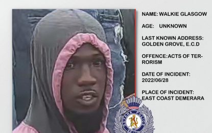 Five men wanted for Mon Repos ‘terror’ surrender