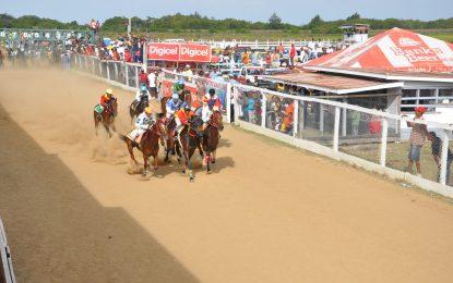 “The Opening Day Stakes” kicks off Horse Racing in February