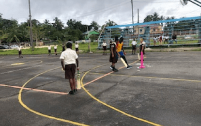 Republic Bank Cricket West Indies coaching for primary schools in Linden ends today at five locations