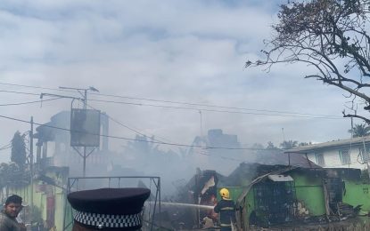 Businessman burns to death in fire after turning back to save grandchild.