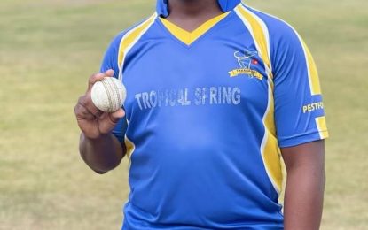 Herstelling B and CPRCC to clash in EBDCA SD T20 final today at Farm