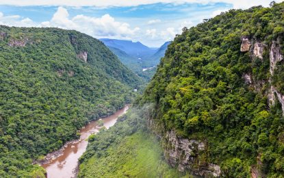 Several robust mechanisms in place to ensure robust forest monitoring 
