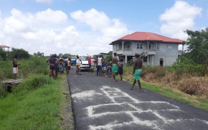 One dead, another injured in New Amsterdam chopping incident