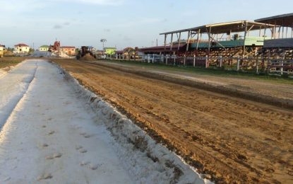 Major progress in the rehabilitation of the Bush Lot Turf Club