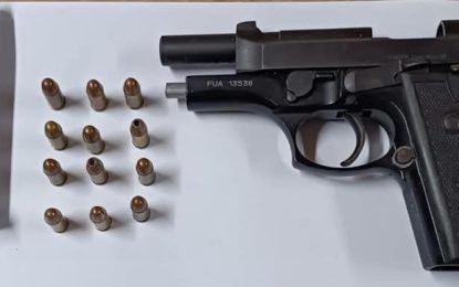 Plaisance man busted with unlicensed gun