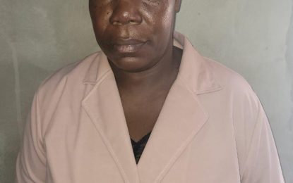 Ogle day care owner remanded for death of baby Oriyah