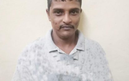 Enmore ‘fowl thief’ jailed for 12 months