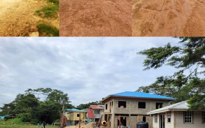 Business community bemoans slow pace of airstrip rehabilitation at Eteringbang