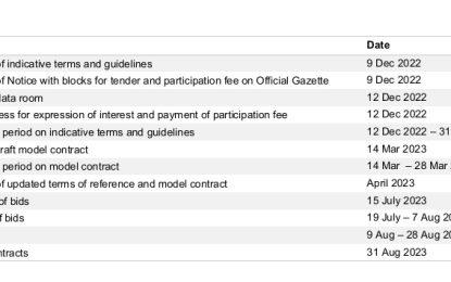 Companies granted extra time to submit bids for 14 oil blocks  