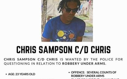 Duo wanted for robbery under arms at Annandale