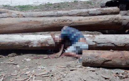 Labourer crushed by log at Mackenzie Sports Club Ground