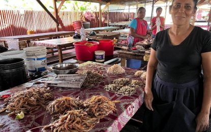 Supporting safe and healthy work practices along the seabob value chain