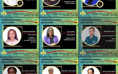 Several local businesswomen heading to US trade exchange programme