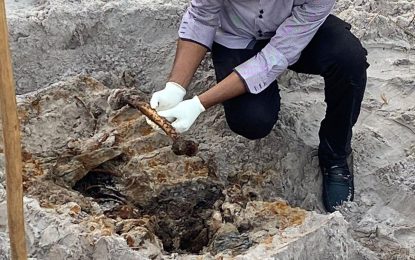 DNA test confirms skeletal remains found at Madewini belong to murdered cop