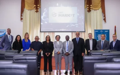 E-market platform launched to improve ICT business processes