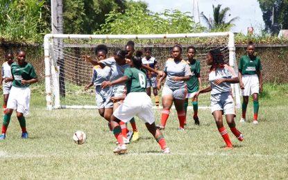 Inclement weather delays ExxonMobil’s Petra U14 Championships