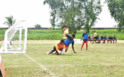 Over 50 matches to unfold this weekend