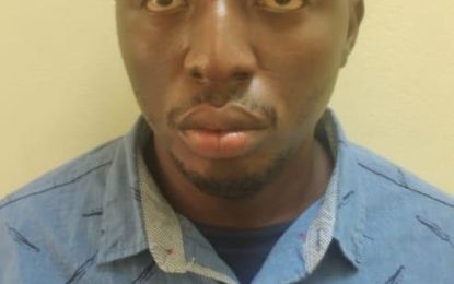 Minibus driver charged with rape; released on $500K bail