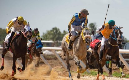 One Guyana Breeder’s Cup confirmed for June 11 at Bush Lot United Turf Club 