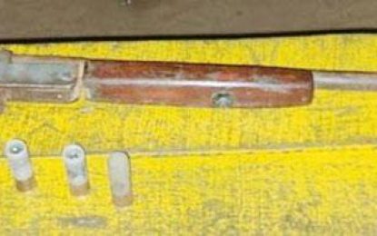 Suspected thief caught with shotgun